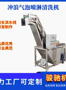 多功能喷淋式气泡清洗机果蔬冲浪清洗设备海参清洗加工设备