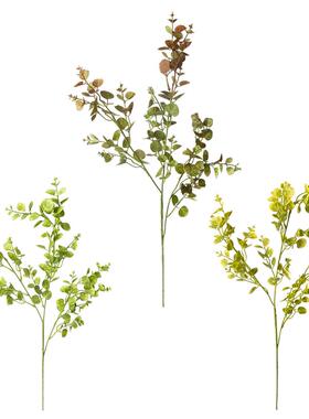绿色彷真花彷真植物绿色金钱叶尤加利假草室内室外装饰花草绿萝
