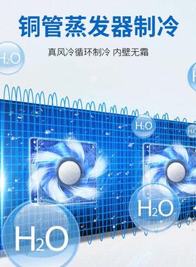 驰雪超大容量可选开门8-20℃品阴凉柜房风冷冰箱冷藏展示柜