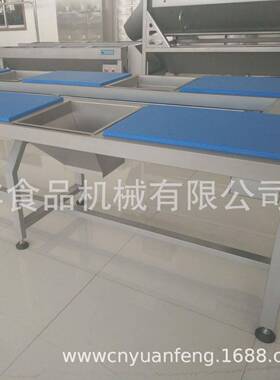 食品工厂运输线 果蔬加工设备净菜加工生产线 46工位挑选输送线