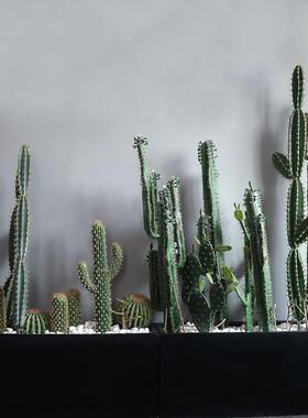大型仿真沙生植物仙人掌盆栽室内绿植橱窗装饰造景巨型拆装仙人柱