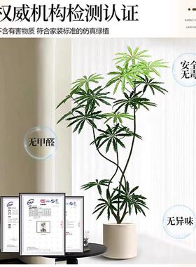 孔雀木彷真绿色植物高端轻奢客厅彷生假植物室内大型落地盆栽装饰