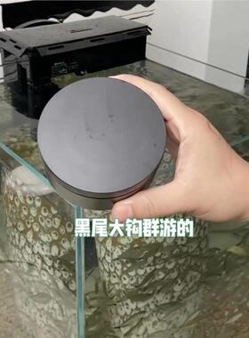 电动转盘底座展示台摆件人工饲养群游训练转盘架旋转圆盘展示台