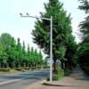 Manufacturer's double-arm traffic monitoring pole electronic monitoring pole signal pole camera hot-dip galvanized octagonal monitoring