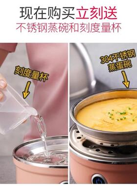 海外用110v220v煮蛋器蒸蛋器自动断电小型不锈钢早餐机煮温泉鸡蛋