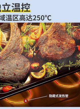 烤面箱商业用大容量层私房披萨包烘培烤全自动双大箱容量电烤箱