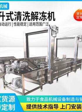 提升式商用冻肉块解冻机鸡腿鸡翅鸡胸肉清洗解冻机鸭产品解冻设备