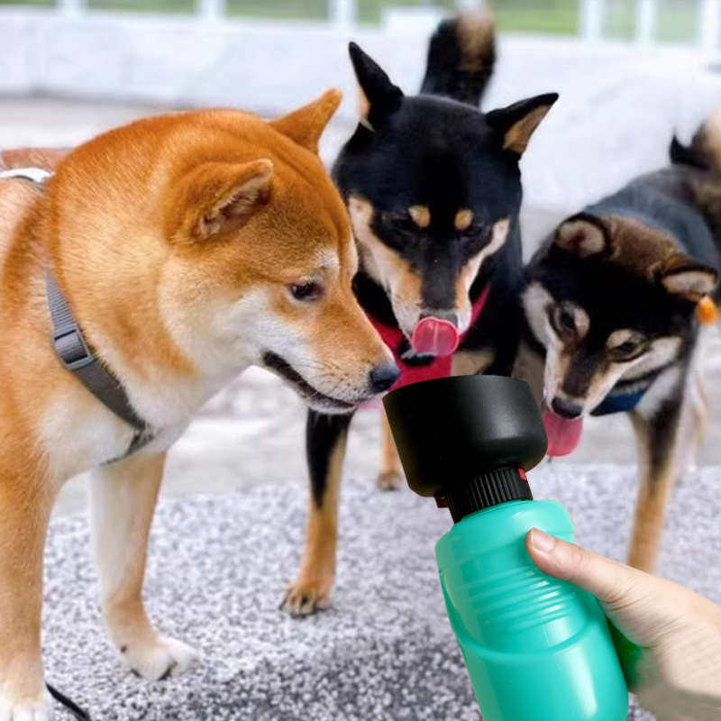 狗狗外出水杯便携式折叠水壶户外出行遛狗喂水器喝水神器随行杯子,淘宝优惠券,粉丝福利购,淘宝优惠卷