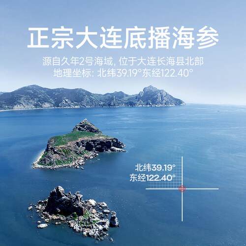 久年鲜炖海参大连辽刺参/周套餐即开即食海鲜送礼长辈 - 图3