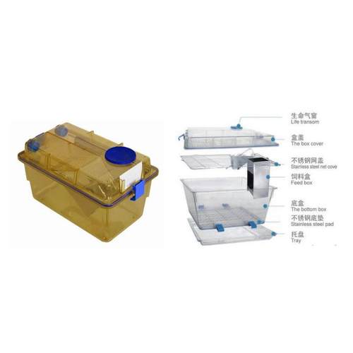 动物通风笼具实验室笼老鼠笼小白鼠笼实验室招标项目大学实验室 - 图3