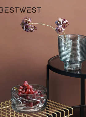 博西家居 北欧轻奢水果盘透明玻璃花瓶摆件 创意家居客厅水培花器