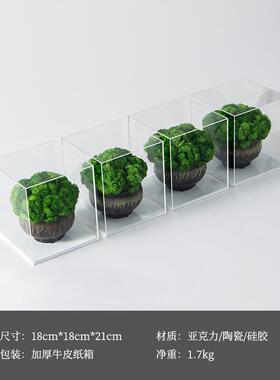 亚克力盒苔藓仿真花艺摆件茶几洽谈餐桌花绿植花架玄关新中式摆花
