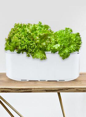 厂家智能种植盆水培箱自动浇水阳台种菜懒人蔬菜种植箱