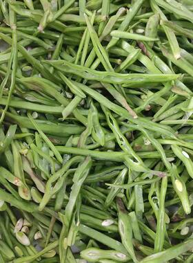 豆角切丝机蘑菇切片机北京果蔬食品加工设备机械加工定制商用设备