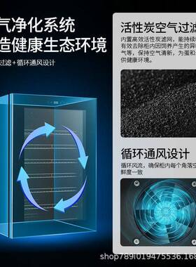 喜玩爬宠孵化器乌龟孵化箱蜥蜴鹦鹉蛇蛋孵化加热制冷智能恒温