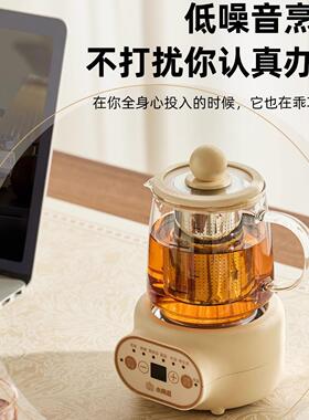 小南瓜办公室宿舍玻璃养生壶小型静音煮茶电炖杯多功能养生杯礼品