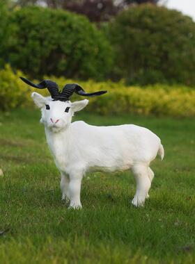 羊皮彷真山羊绵羊动物模型商超奶粉店橱柜装饰摆件教学道具工艺品