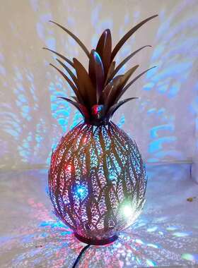 直销新款家居室内客厅装饰点缀铁艺摆件氛围灯暖光彩光两用插电菠