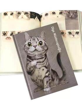 样板房外语儿童猫风格真书装饰品儿童房装饰书精装道具男孩和女孩