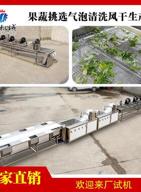 果蔬挑选气泡清洗风干生产线 生菜菠菜油菜椰菜清洗风干加工设备