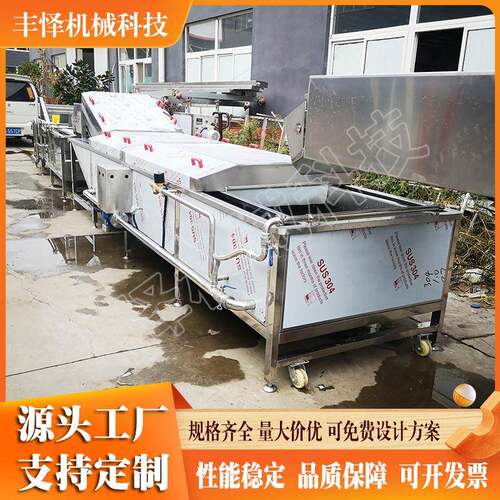 竹笋漂烫机连续式酸豆角预煮杀青护色机芦笋预煮漂烫成套设备 - 图1