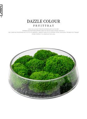 新中式简约仿真花艺绿植室内植物酒店永生苔藓造景盆栽茶室桌摆件