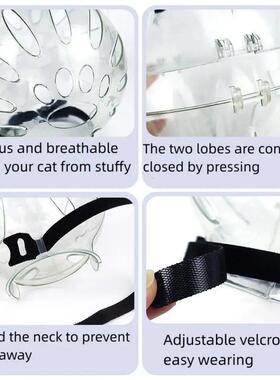 Breathable Sturdy Muzzle Mask Cat Head Cover Space Hood Ball