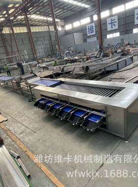荔枝直径选果机 胡萝卜大小分选机小型家用水果分拣机 山东源头厂
