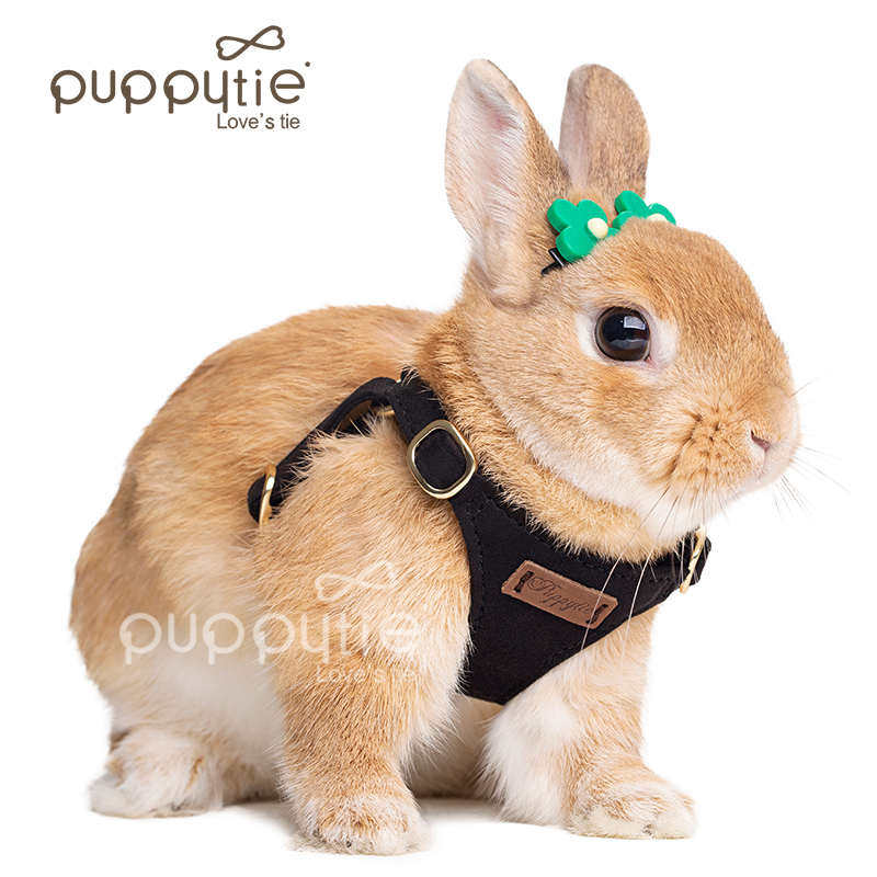 兔子牵引绳兔绳防挣脱兔链子可调节兔绳子遛兔绳侏儒兔宠物用品,淘宝优惠券,粉丝福利购,淘宝优惠卷