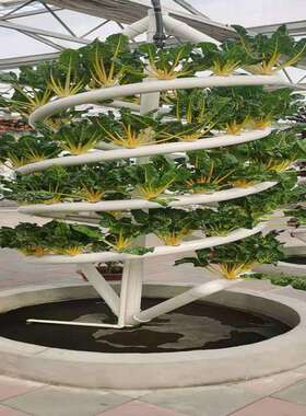 温室无土栽培设施 立体水培营养种植双管螺旋槽 大螺旋无土栽培