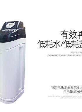 爱惠浦EVP-SFT30进口软件机 除水垢净水器 家用店铺用软水器 进口