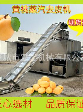 黄桃专用去皮机 无剂物理去皮 食品级不锈钢 耐用性强 支持定制