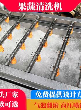 白菜苦菊鼓泡清洗设备果蔬气泡清洗机全自动洗菜机净菜加工设备