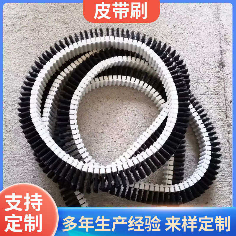 厂家定制 机械皮带刷 工业传动机毛刷条形除尘皮带刷pvc尼龙材质,淘宝优惠券,粉丝福利购,淘宝优惠卷