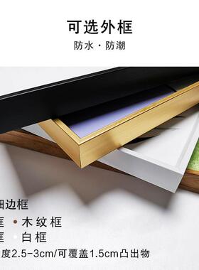 凹A-ZG053一中式官服龙凤袍中国风装饰画厅沙发背景玄新关书客瓷