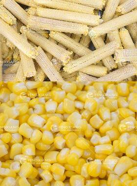 玉凤翔 商工厂直营鲜米脱粒机用玉粒米快速脱机完凤翔整无损伤