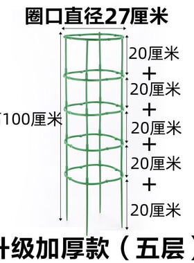 花架子火龙果太阳花月季绿萝花盆