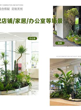 彷真绿色植物造景组合室内角落绿化高级定制装饰布置彷生植物摆设