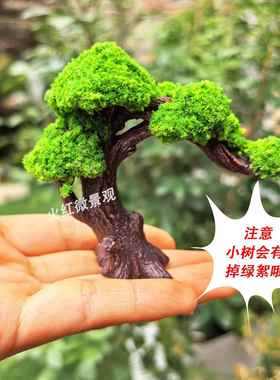 彷真迷你迎客松小树松树沙盘diy装饰 假山盆景微景观苔藓造景摆件