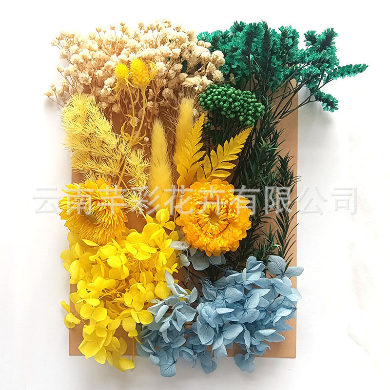 干花永生花团扇材料包A5袋装相框香薰蜡烛diy团扇花艺课花材,淘宝优惠券,粉丝福利购,淘宝优惠卷