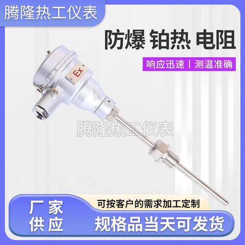 防爆铂热电阻温度传感器电伴热带用防爆PT100铂热电阻 - 图0