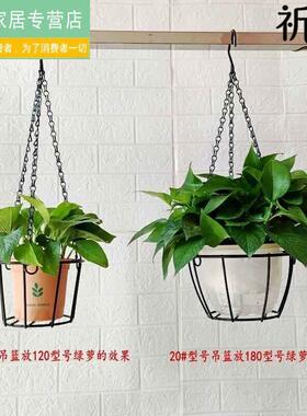 铁艺垂吊挂篮花盆架悬挂式吊篮吊兰盆花架阳台吊盆架子简易挂架