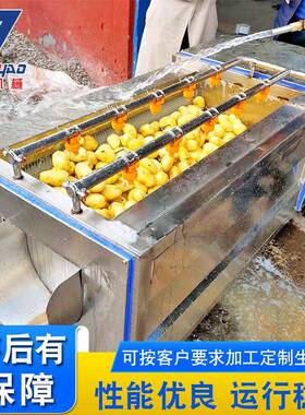 土豆去皮清洗机小型土豆毛辊脱皮机马铃薯毛刷去皮清洗设备