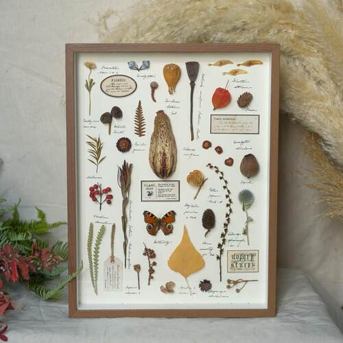 手作覆古干 干燥花植物标本装饰画 画样板间组合摆件创意节日礼物 - 图3