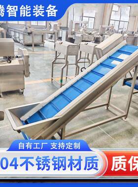 全自动果蔬气泡清洗机商用土豆果蔬气泡清洗机器鼓泡涡流洗菜净菜