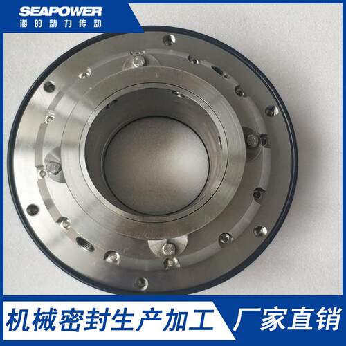 IJ125-100-315DPK机械密封件直销杭州碱泵集装式机械密封 - 图1