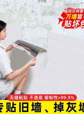 毛坯房供应链墙面贴纸软装墙贴