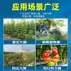 Imported greenhouse plastic film, whole roll, agricultural film, anti-aging plastic cloth, high light transmittance, drip-free film, special film for grapes