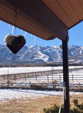 独立站 Bird Nesting Heart Outdoor Yard Art鸟巢心户外庭院艺术