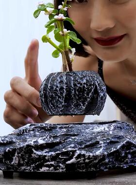 磁浮花盆办公室摆件盆栽情绪稳定植物盆景轻奢创意茶室装饰品